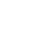 Vector 7