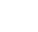 Vector